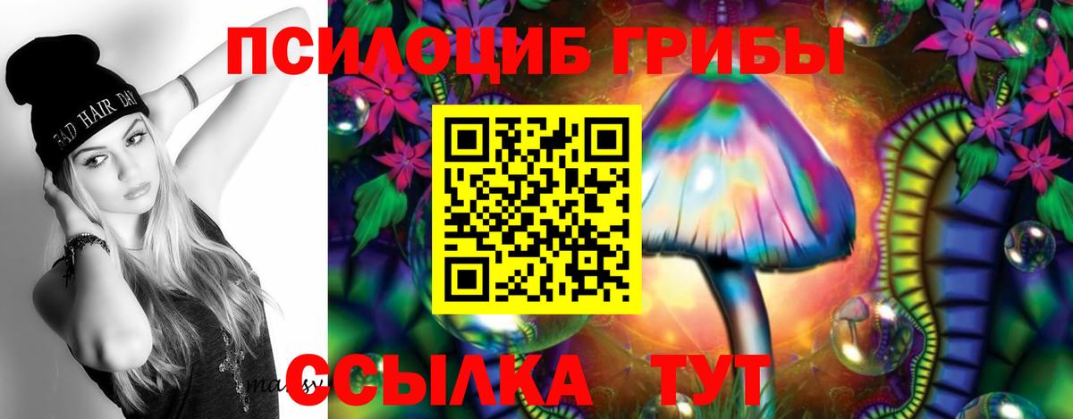 Унеча  Галлюциногенные грибы ЛСД  Вход с VPN  Галлюциногенные грибы ЛСД 
