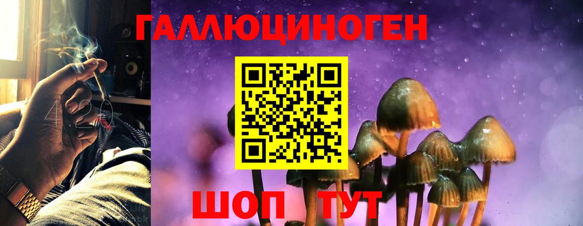 Псилоцибиновые грибы GOLDEN TEACHER Унеча